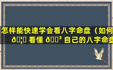 怎样能快速学会看八字命盘（如何 🦅 看懂 🐳 自己的八字命盘）